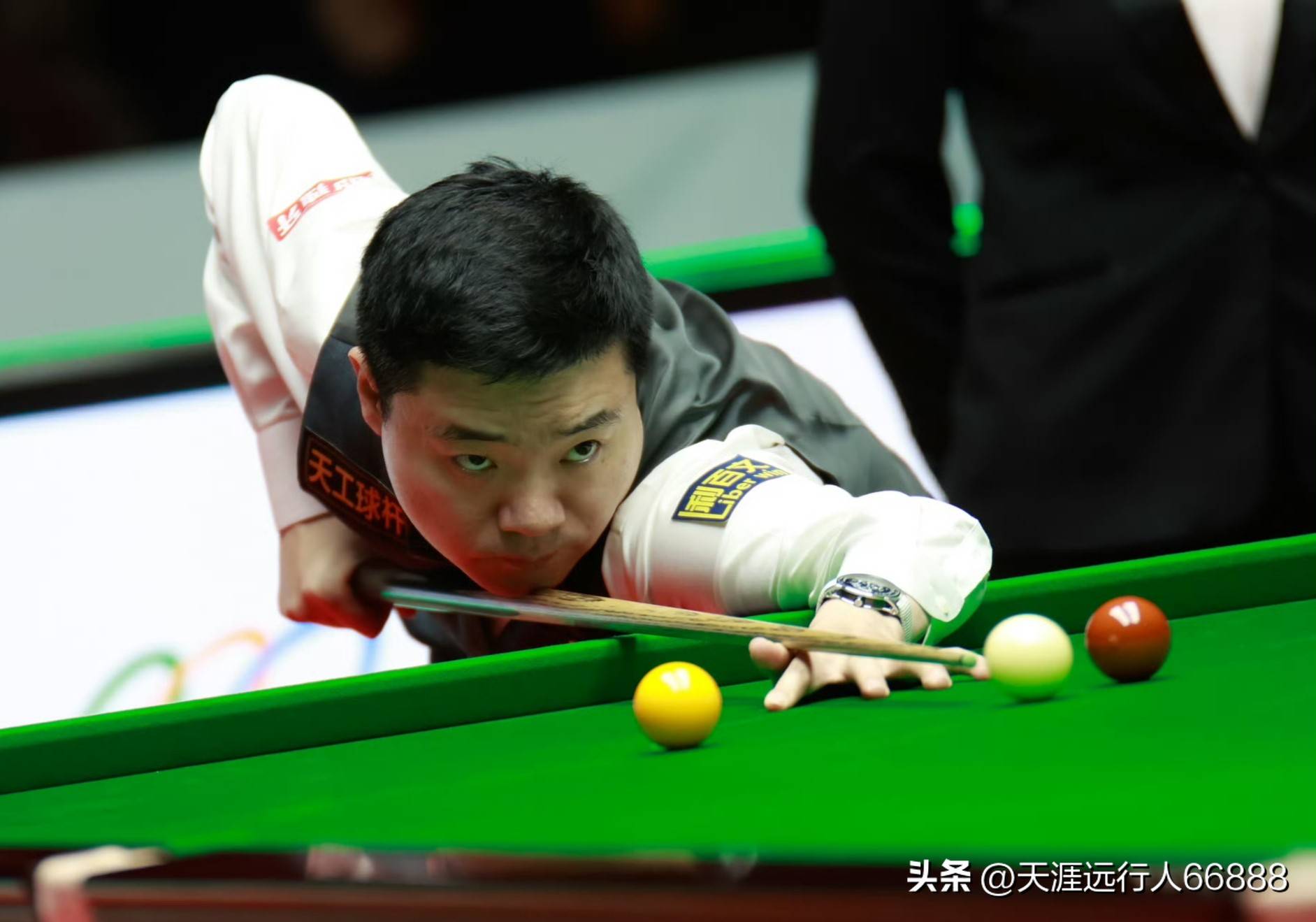 迷带来无数 迷带来无数