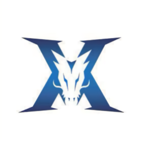 LAN表现 LAN表现